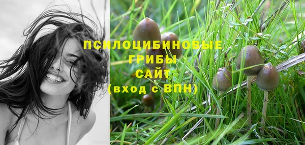 спайс Горно-Алтайск