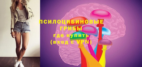 спайс Горно-Алтайск