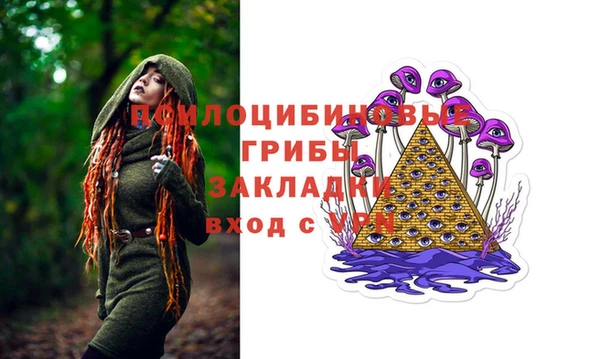 ПСИЛОЦИБИНОВЫЕ ГРИБЫ Покачи