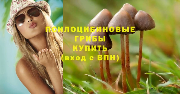 МДПВ Кемь