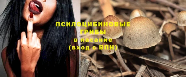 спайс Горно-Алтайск