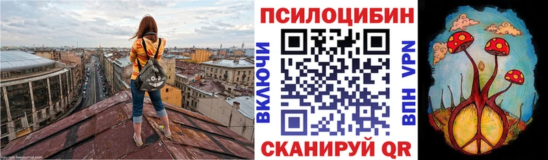 дарк нет наркотические препараты  Гдов  Галлюциногенные грибы Cubensis  цены наркотик 